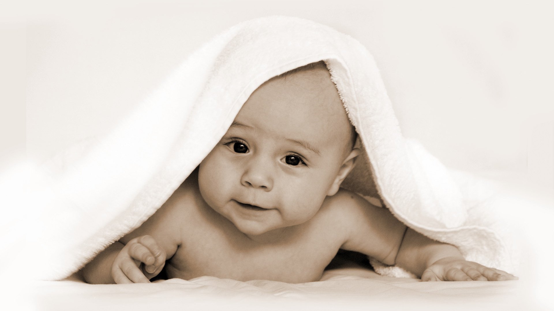 廊坊借卵代生试管婴儿第二代的成功率